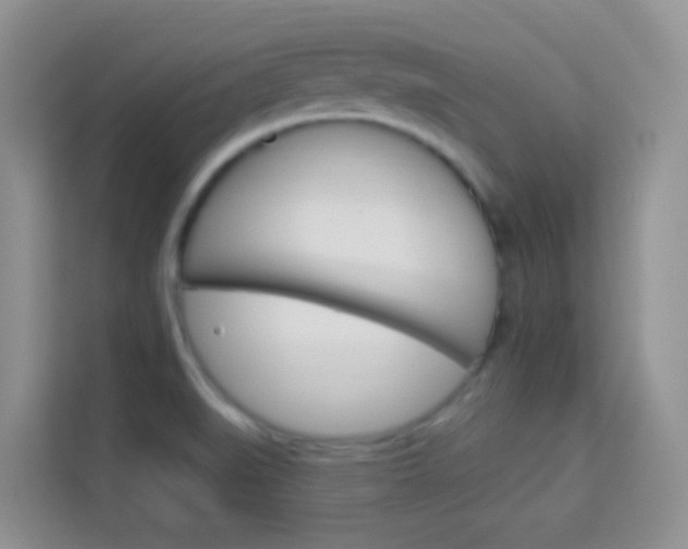 X0000114211519200910091018