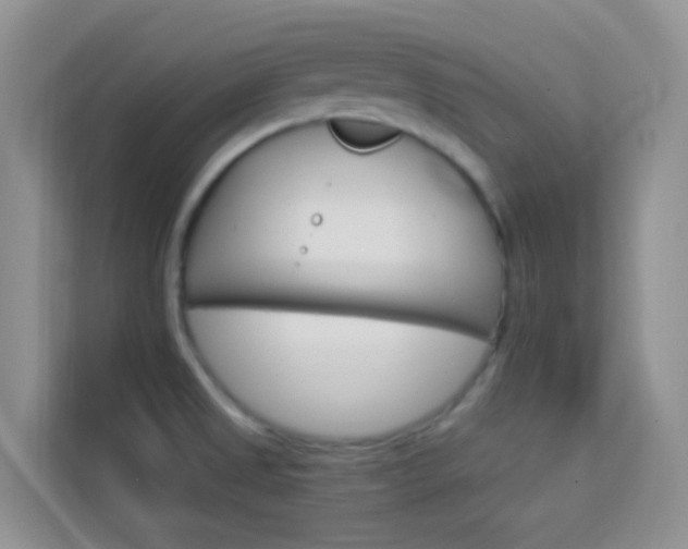 X0000114211525200910091018