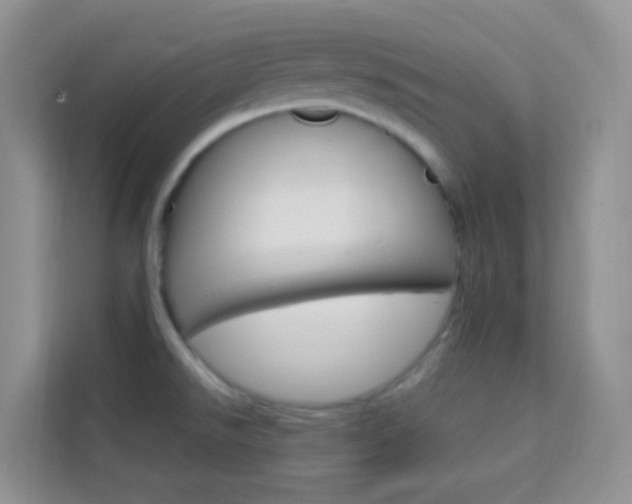 X0000114211526200910091018