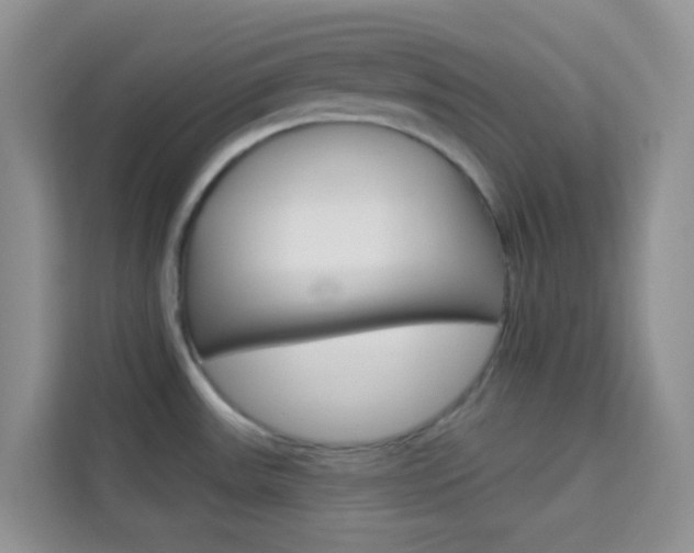 X0000114211531200910091019