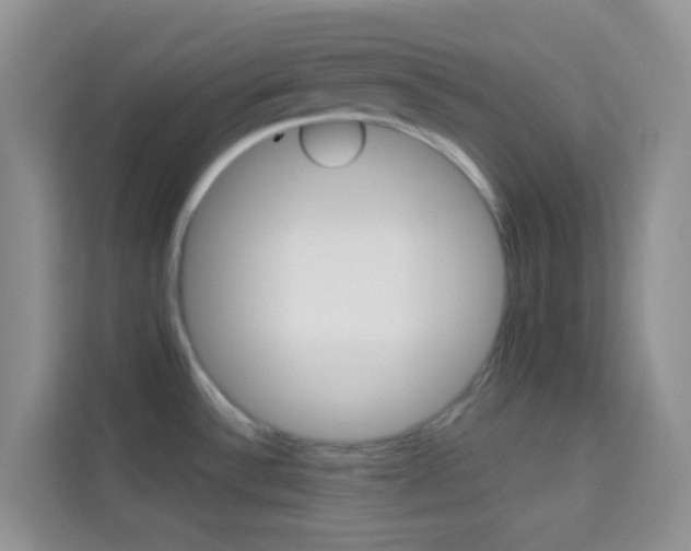 X0000114211532200910091019