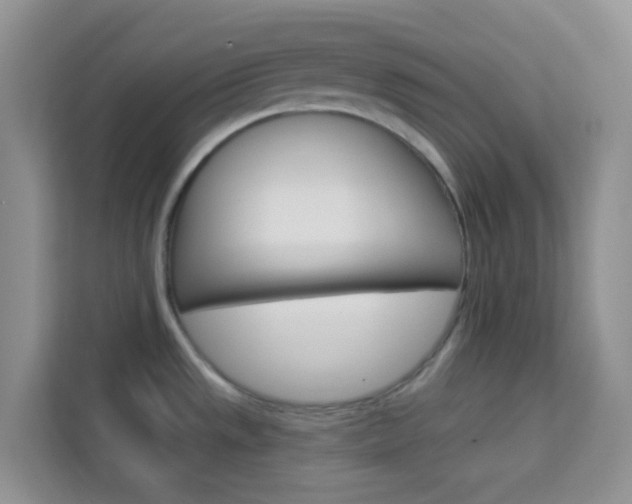 X0000114211533200910091019
