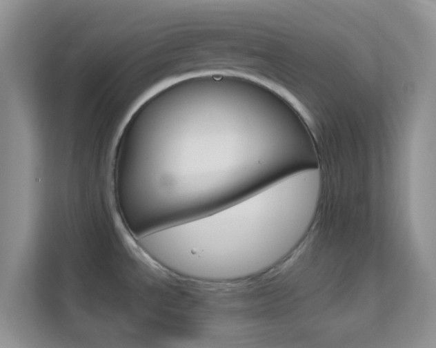 X0000114211534200910091019
