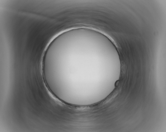 X0000114211535200910091019