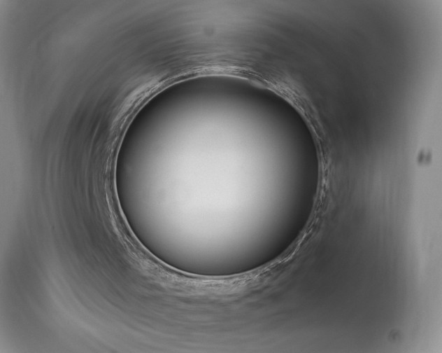 X0000114210001200910091335