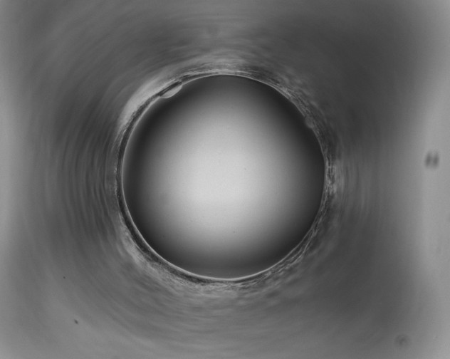 X0000114210004200910091335
