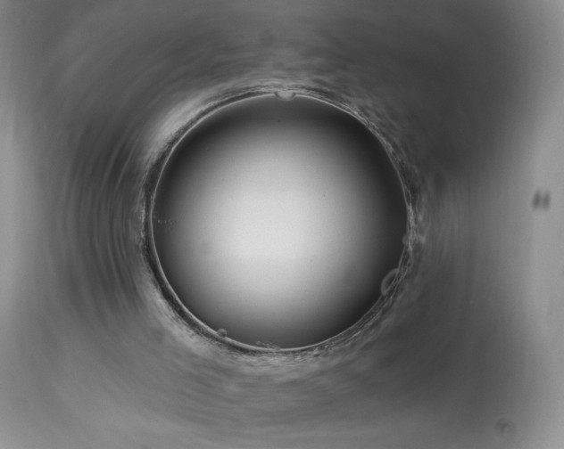 X0000114210005200910091335