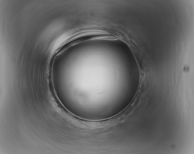 X0000114210006200910091335