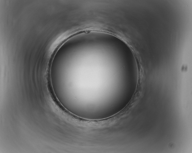 X0000114210007200910091335