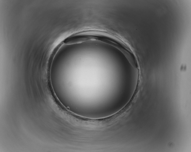 X0000114210008200910091335