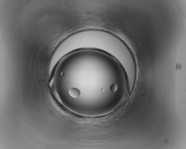 X0000114210009200910091335