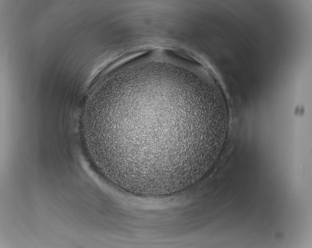 X0000114210010200910091335