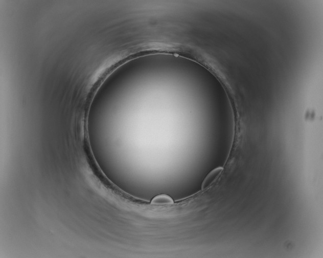 X0000114210011200910091335