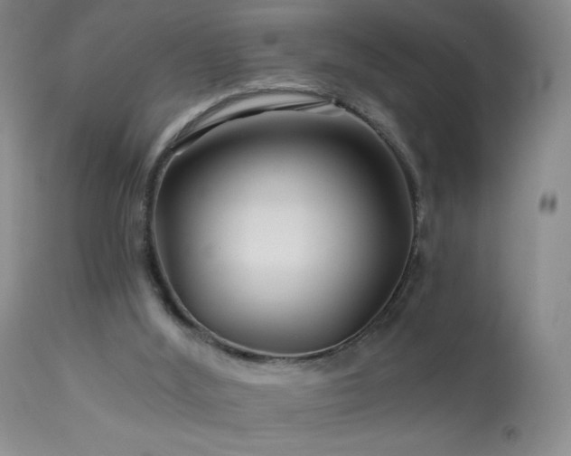 X0000114210012200910091335