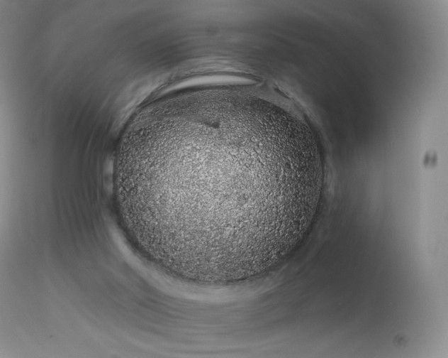 X0000114210014200910091335