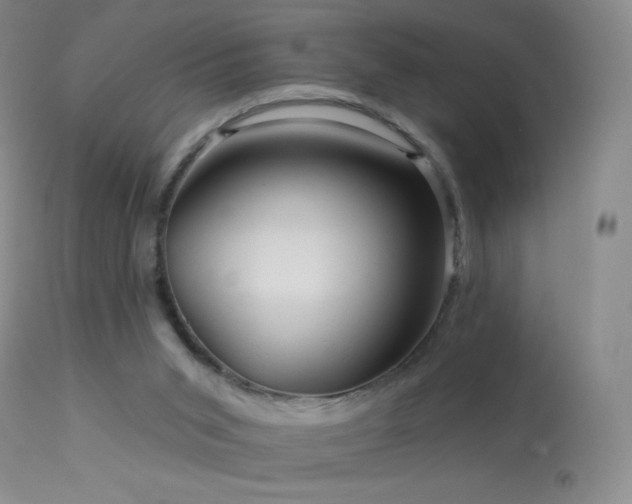 X0000114210015200910091334