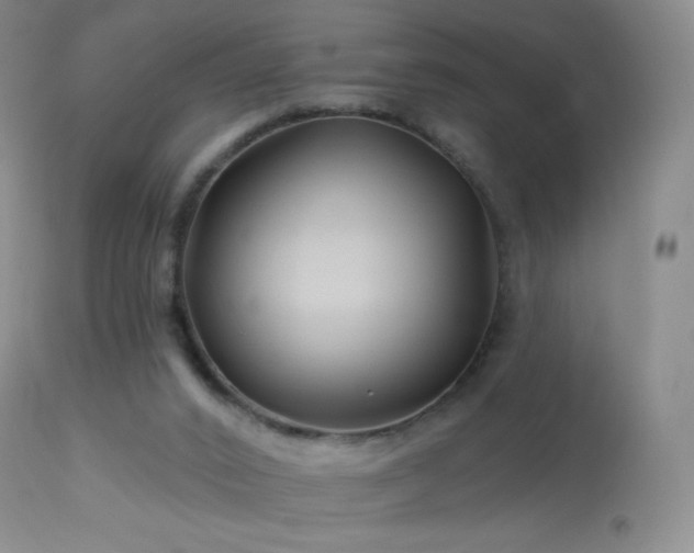 X0000114210016200910091334