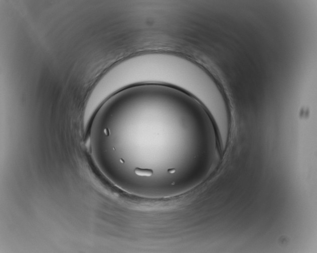 X0000114210017200910091334