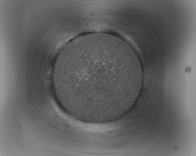 X0000114210018200910091334