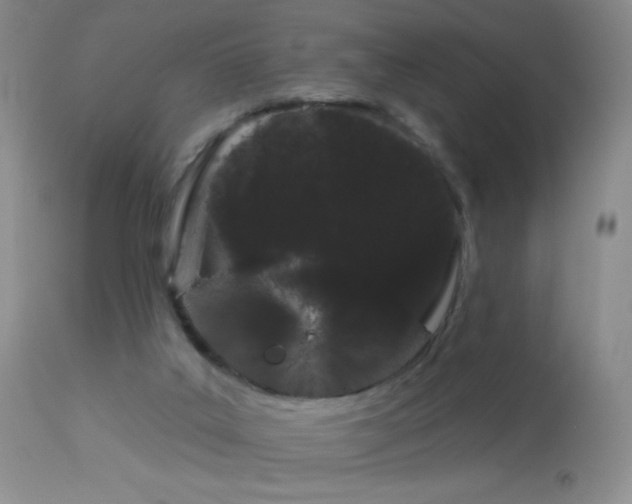 X0000114210019200910091334
