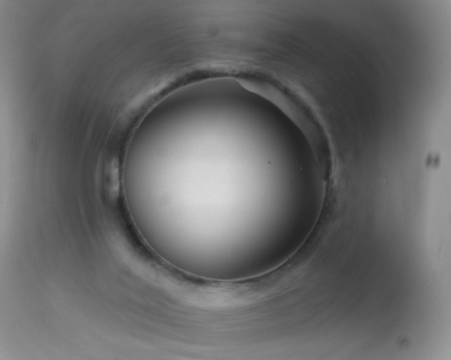 X0000114210020200910091334