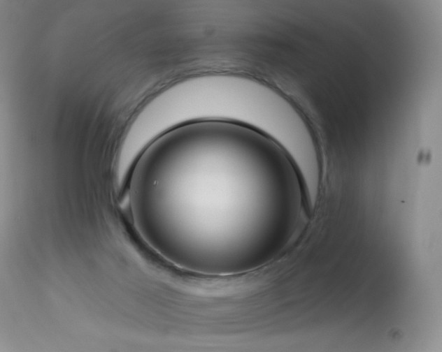 X0000114210021200910091334
