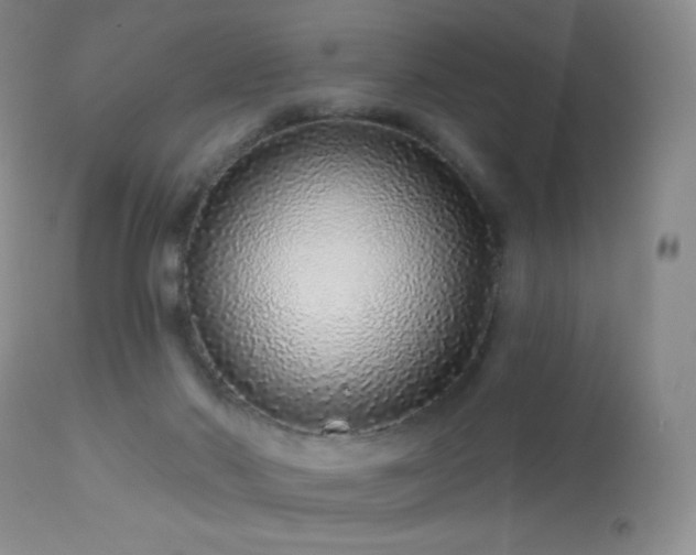 X0000114210022200910091334