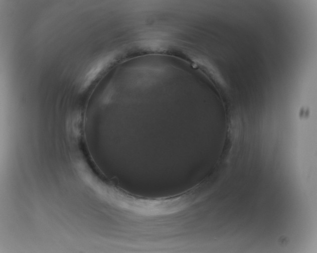 X0000114210023200910091334