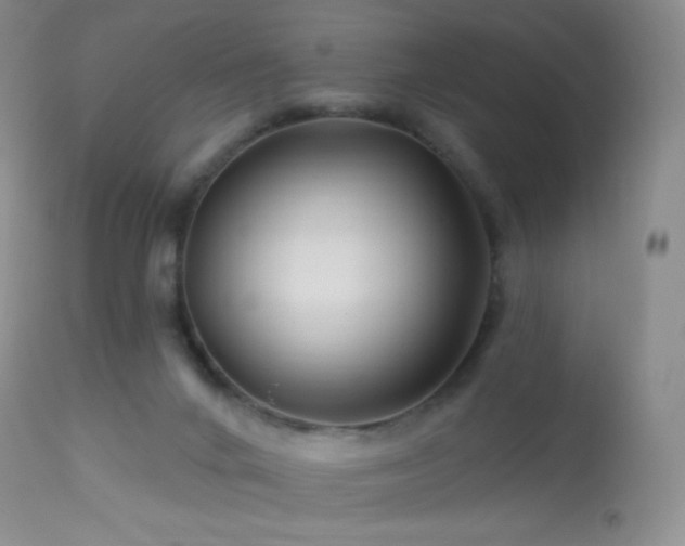 X0000114210024200910091334