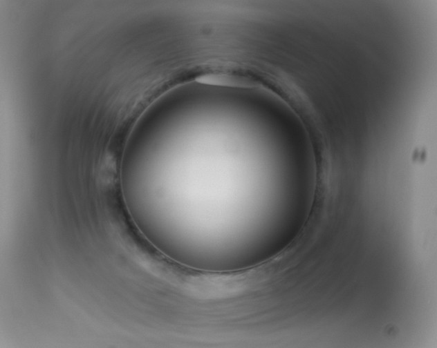 X0000114210025200910091334