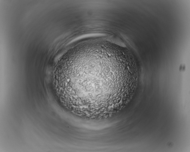 X0000114210026200910091334