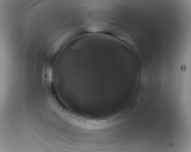 X0000114210027200910091334