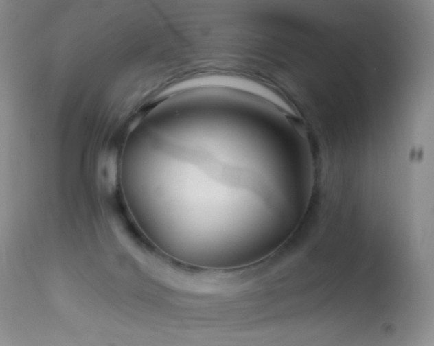 X0000114210028200910091334