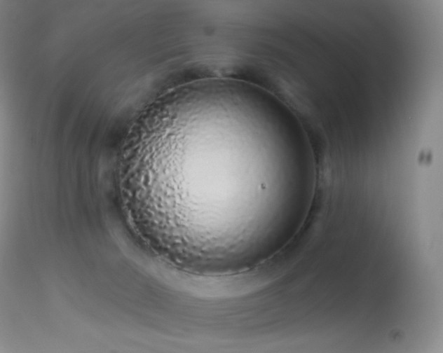 X0000114210030200910091334
