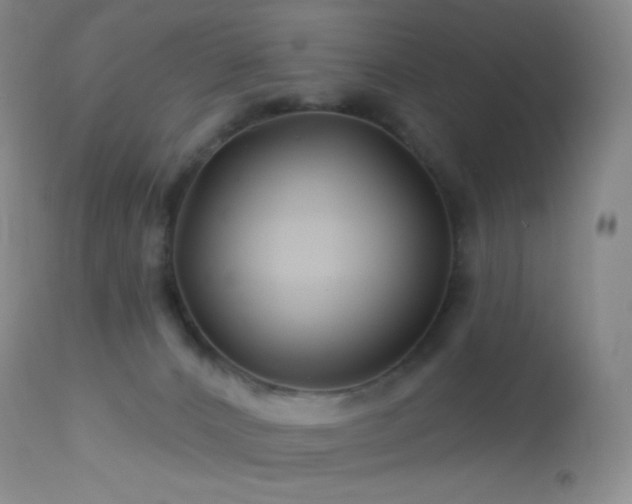 X0000114210032200910091334