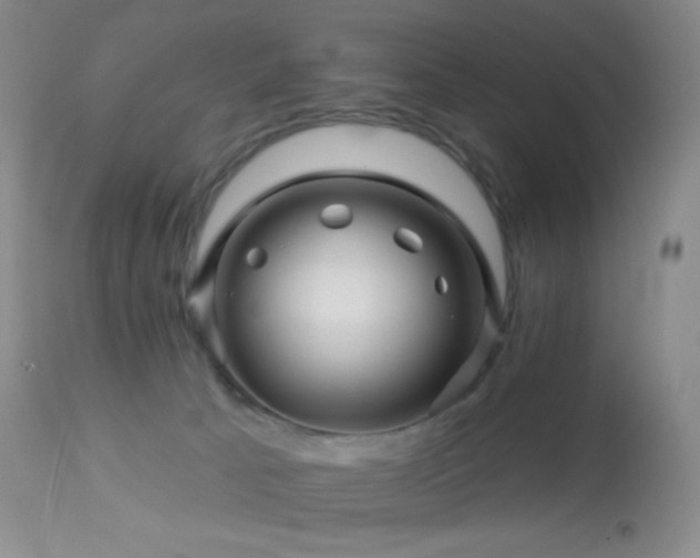 X0000114210033200910091334