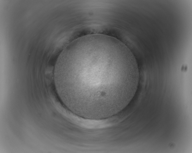 X0000114210034200910091334