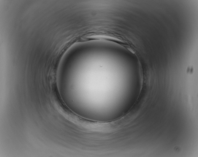 X0000114210036200910091334