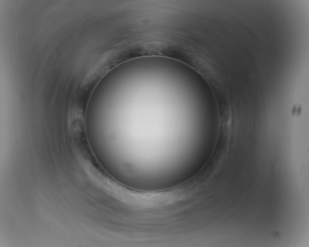 X0000114210038200910091334