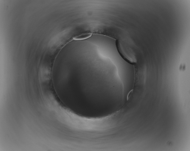 X0000114210039200910091334