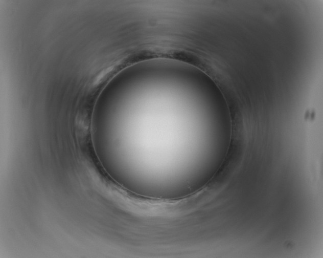 X0000114210040200910091334