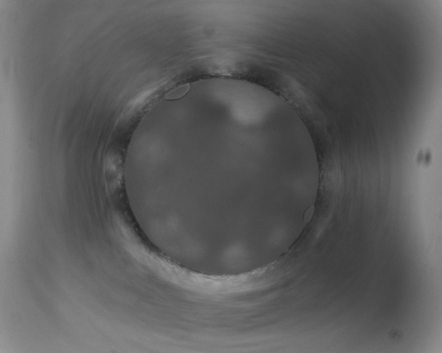 X0000114210043200910091334