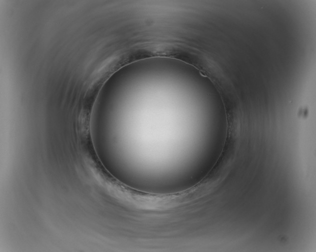 X0000114210044200910091334