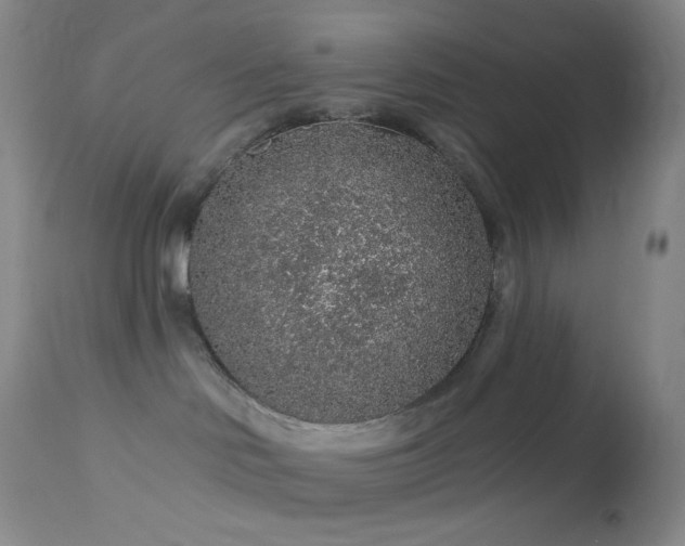 X0000114210046200910091334