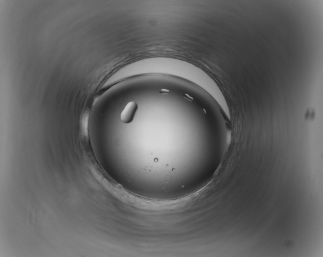 X0000114210047200910091334