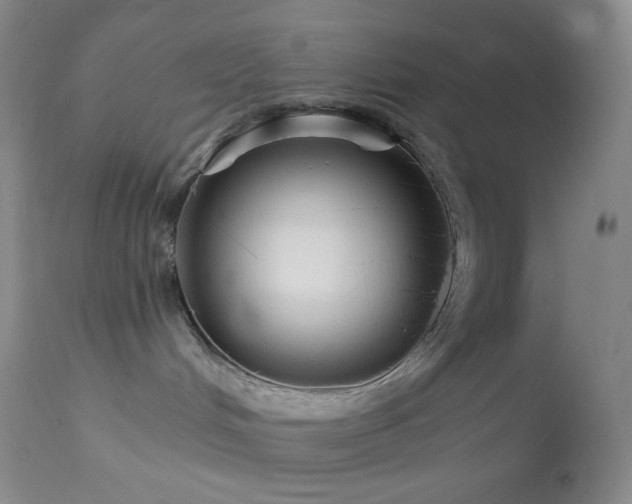 X0000114210048200910091334