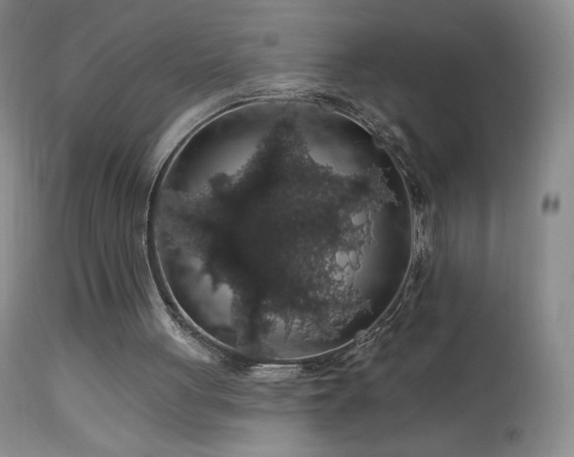 X0000114210051200910091333