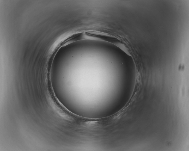 X0000114210054200910091333