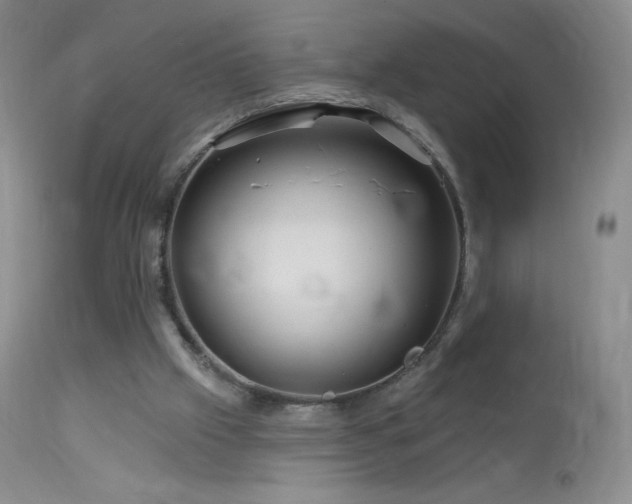 X0000114210057200910091333