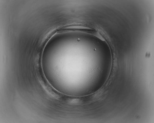 X0000114210058200910091333